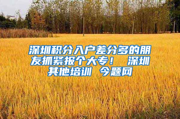 深圳积分入户差分多的朋友抓紧报个大专！ 深圳其他培训 今题网