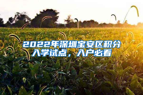 2022年深圳宝安区积分入学试点，入户必看