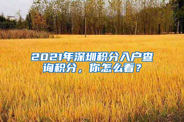 2021年深圳积分入户查询积分，你怎么看？