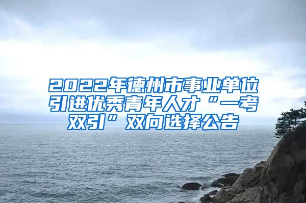 2022年德州市事业单位引进优秀青年人才“一考双引”双向选择公告