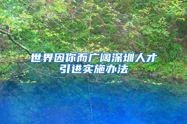 世界因你而广阔深圳人才引进实施办法