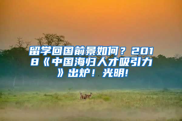 留学回国前景如何？2018《中国海归人才吸引力》出炉！光明!