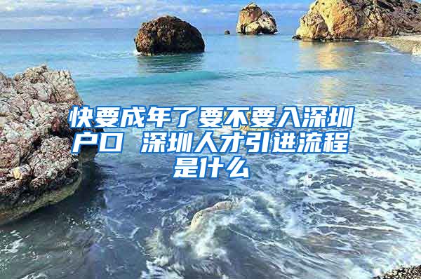 快要成年了要不要入深圳户口 深圳人才引进流程是什么