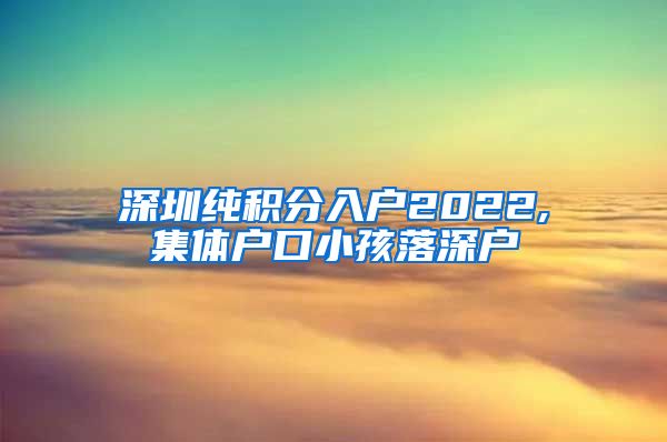 深圳纯积分入户2022,集体户口小孩落深户