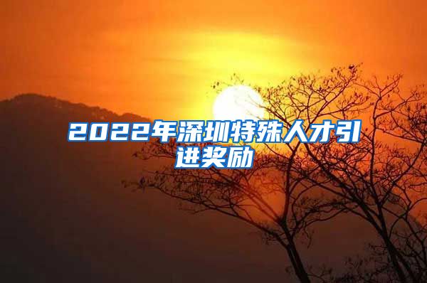 2022年深圳特殊人才引进奖励