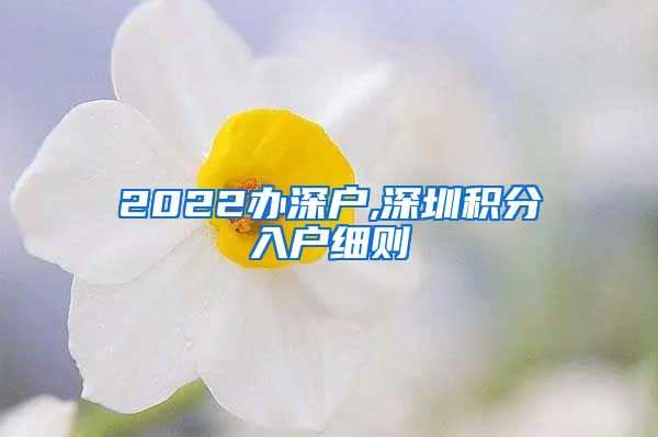 2022办深户,深圳积分入户细则