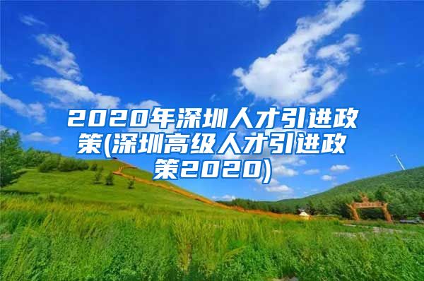 2020年深圳人才引进政策(深圳高级人才引进政策2020)