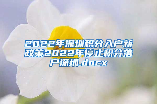 2022年深圳积分入户新政策2022年停止积分落户深圳.docx