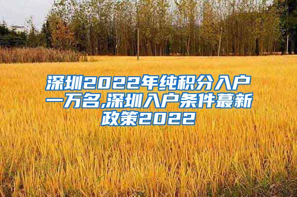 深圳2022年纯积分入户一万名,深圳入户条件蕞新政策2022