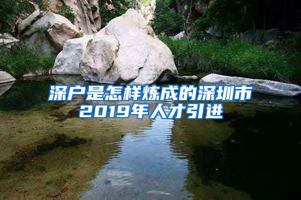 深户是怎样炼成的深圳市2019年人才引进