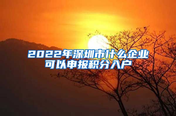 2022年深圳市什么企业可以申报积分入户