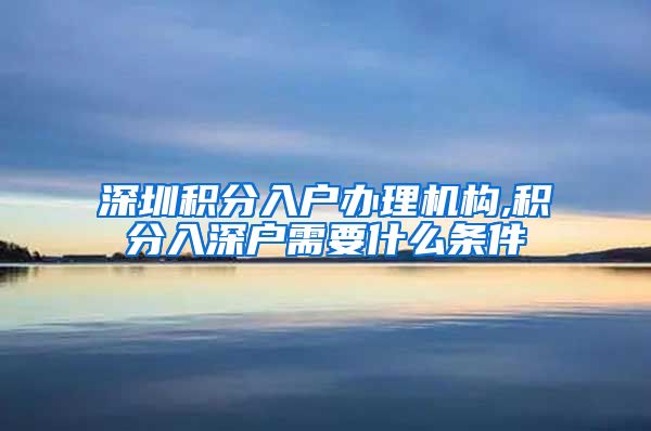 深圳积分入户办理机构,积分入深户需要什么条件