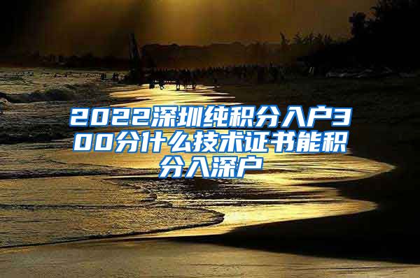 2022深圳纯积分入户300分什么技术证书能积分入深户