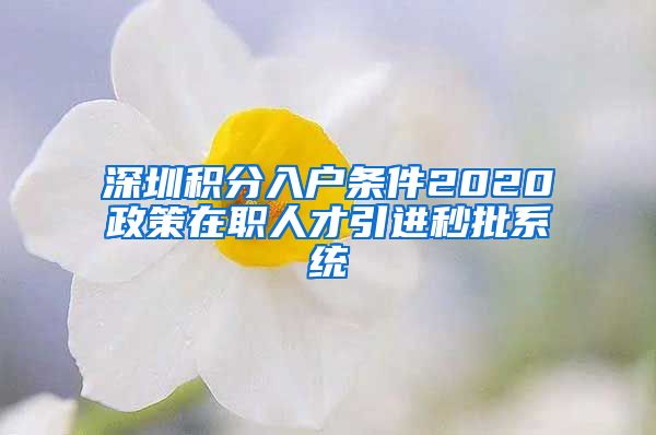 深圳积分入户条件2020政策在职人才引进秒批系统