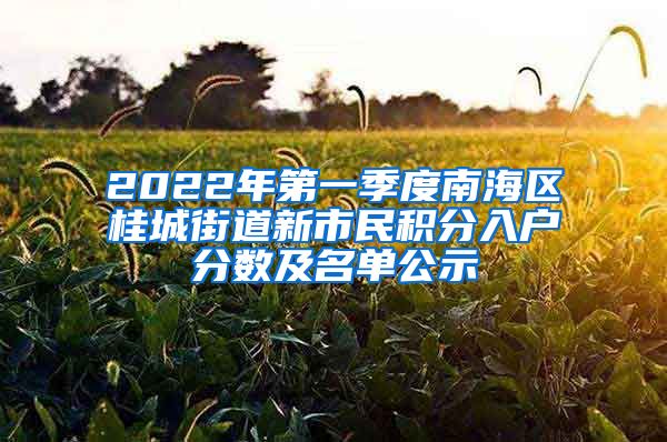 2022年第一季度南海区桂城街道新市民积分入户分数及名单公示