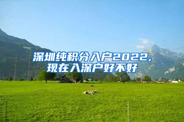 深圳纯积分入户2022,现在入深户好不好