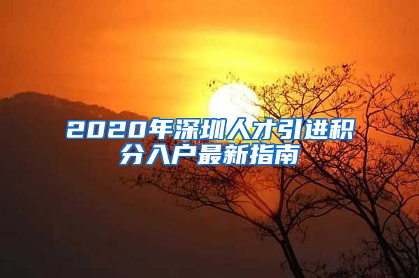 2020年深圳人才引进积分入户最新指南