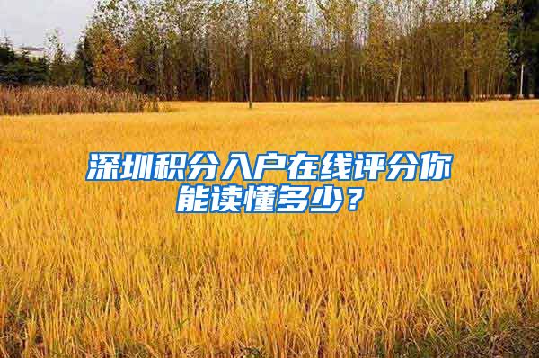 深圳积分入户在线评分你能读懂多少？