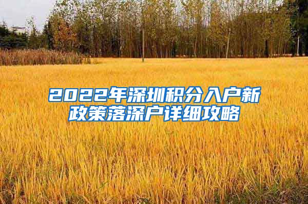 2022年深圳积分入户新政策落深户详细攻略