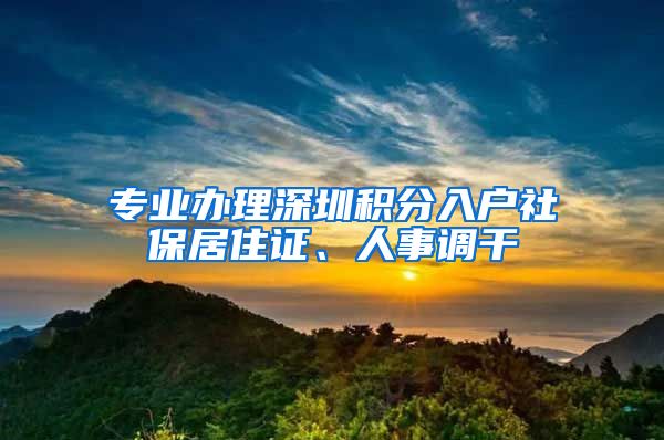 专业办理深圳积分入户社保居住证、人事调干