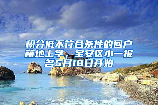 积分低不符合条件的回户籍地上学，宝安区小一报名5月18日开始