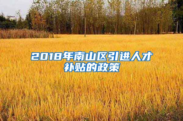 2018年南山区引进人才补贴的政策