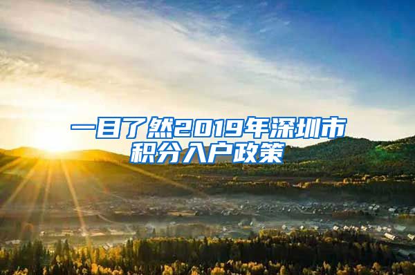 一目了然2019年深圳市积分入户政策