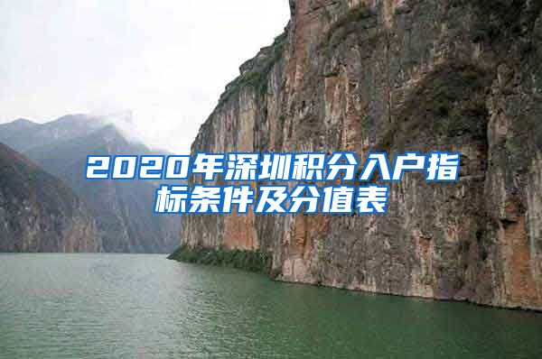 2020年深圳积分入户指标条件及分值表