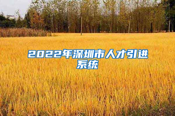 2022年深圳市人才引进系统