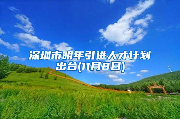 深圳市明年引进人才计划出台(11月8日)