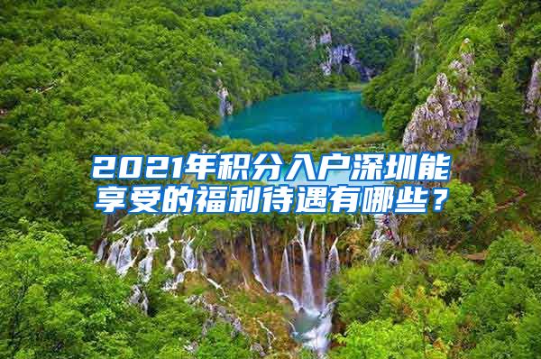 2021年积分入户深圳能享受的福利待遇有哪些？