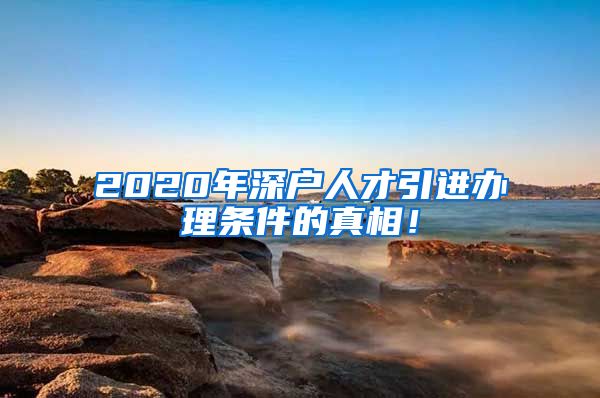 2020年深户人才引进办理条件的真相！