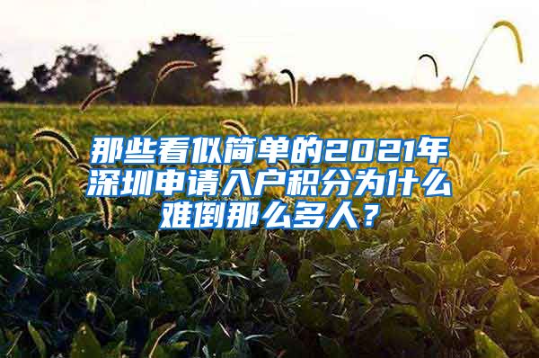 那些看似简单的2021年深圳申请入户积分为什么难倒那么多人？