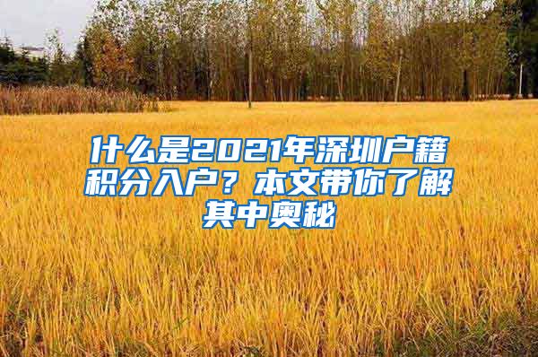 什么是2021年深圳户籍积分入户？本文带你了解其中奥秘