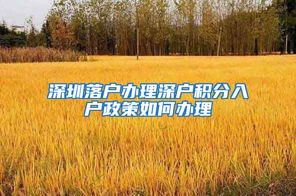 深圳落户办理深户积分入户政策如何办理