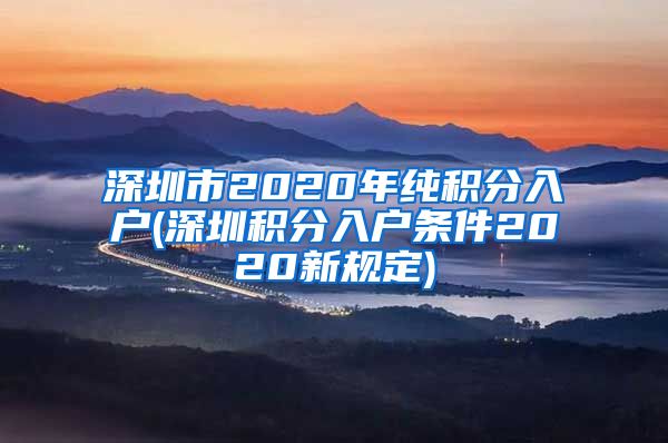 深圳市2020年纯积分入户(深圳积分入户条件2020新规定)