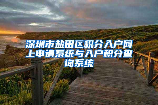 深圳市盐田区积分入户网上申请系统与入户积分查询系统