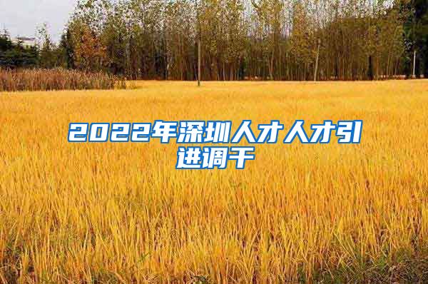 2022年深圳人才人才引进调干