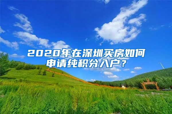 2020年在深圳买房如何申请纯积分入户？