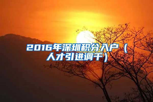 2016年深圳积分入户（人才引进调干）