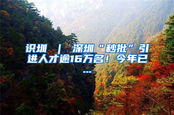 识圳 ｜ 深圳“秒批”引进人才逾16万名！今年已...