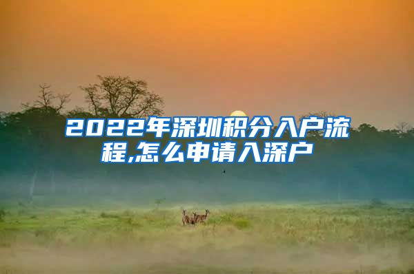 2022年深圳积分入户流程,怎么申请入深户