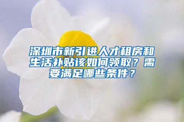 深圳市新引进人才租房和生活补贴该如何领取？需要满足哪些条件？