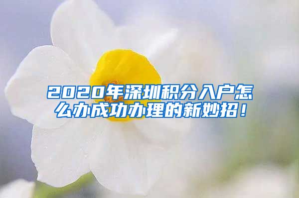 2020年深圳积分入户怎么办成功办理的新妙招！