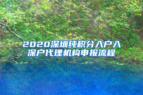 2020深圳纯积分入户入深户代理机构申报流程