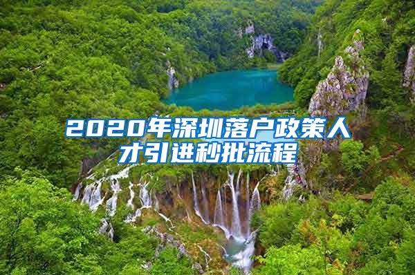 2020年深圳落户政策人才引进秒批流程