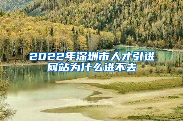 2022年深圳市人才引进网站为什么进不去