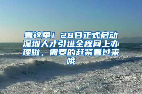 看这里！28日正式启动深圳人才引进全程网上办理啦，需要的赶紧看过来哦