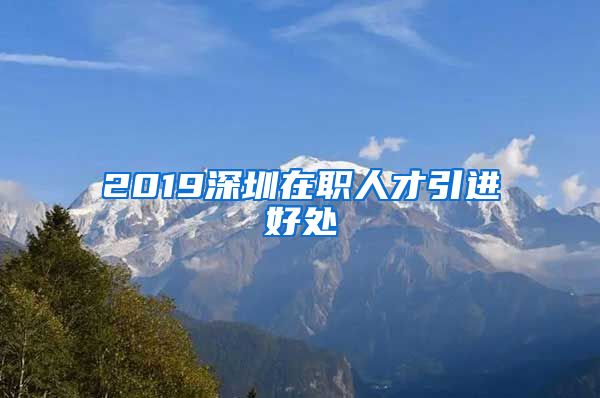 2019深圳在职人才引进好处