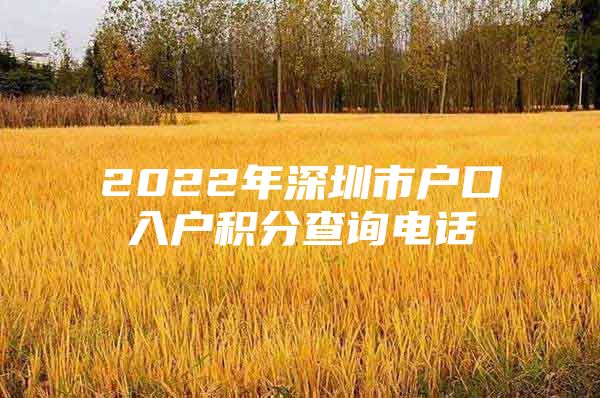 2022年深圳市户口入户积分查询电话